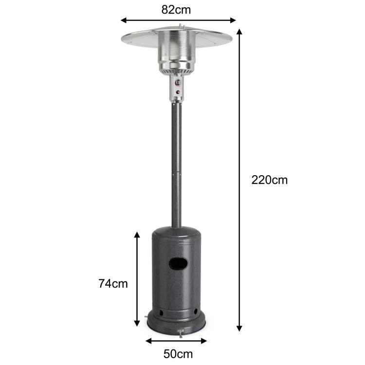 PAPT1243-6