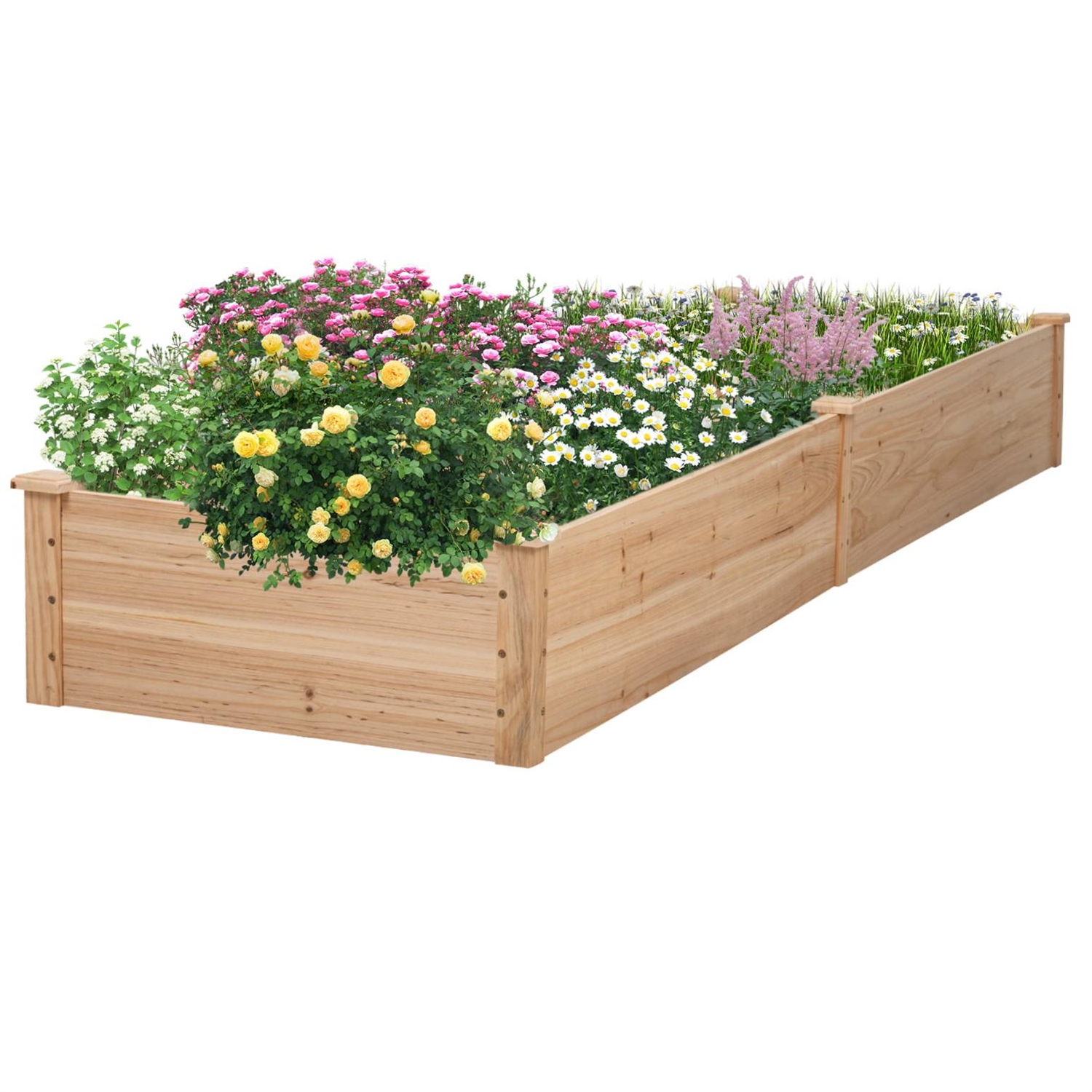 PEGBKB49257161-2